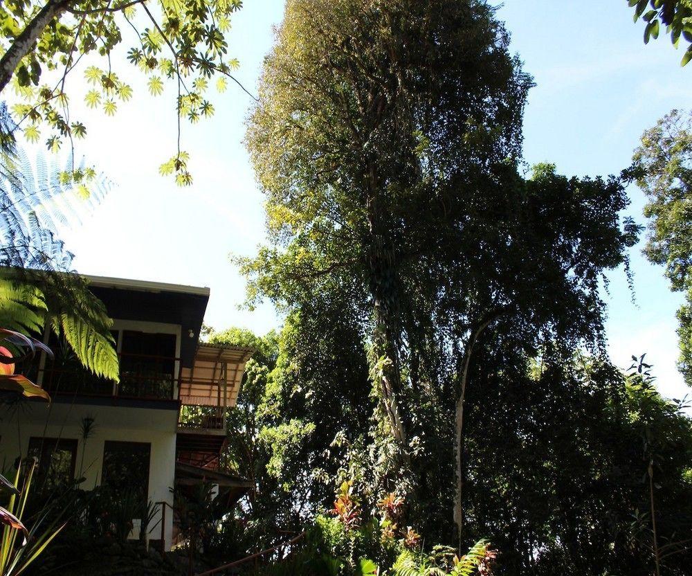 Agua Inn Nuevo Arenal Exterior photo