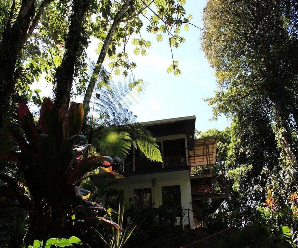 Agua Inn Nuevo Arenal Exterior photo
