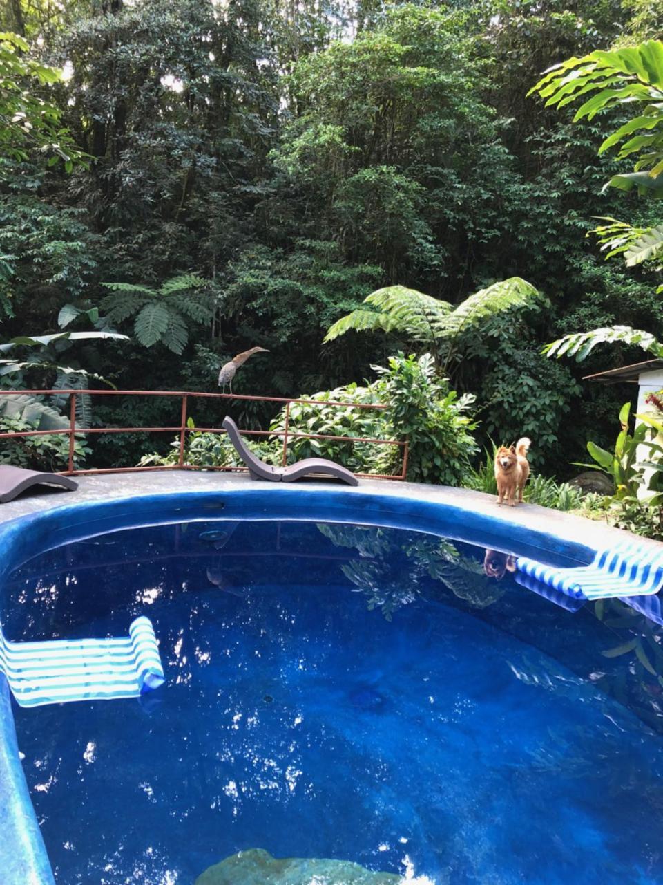 Agua Inn Nuevo Arenal Exterior photo